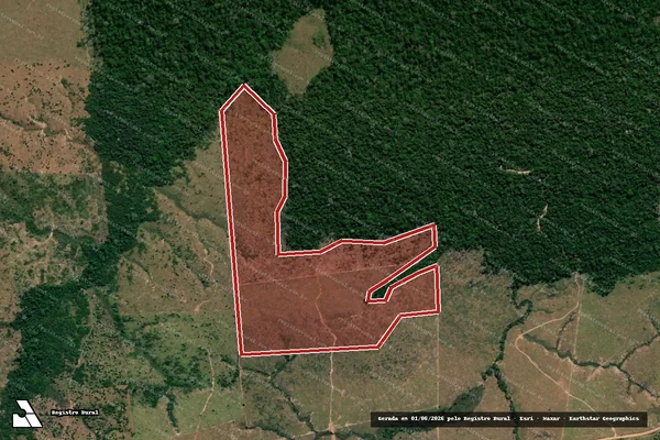 Imagem de satélite de Infração Ambiental em Colniza - MT