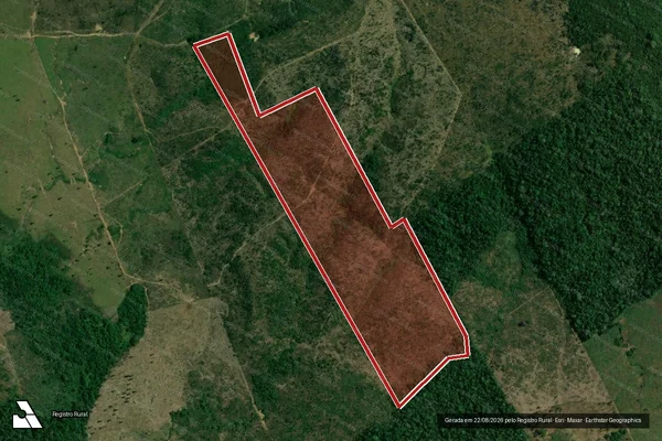 Imagem de satélite de Infração Ambiental em Apuí - AM
