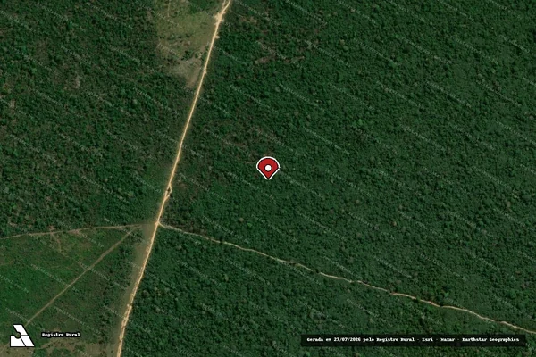 Imagem de satélite de Infração Ambiental em Uruará - PA (marcador da localização)