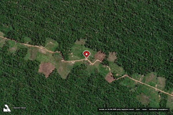Imagem de satélite de Infração da Flora em Anapu - PA (marcador da localização)