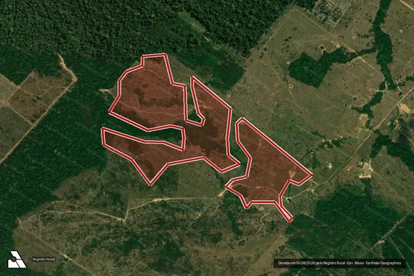 Imagem de satélite de Infração da Flora em Porto Velho - RO