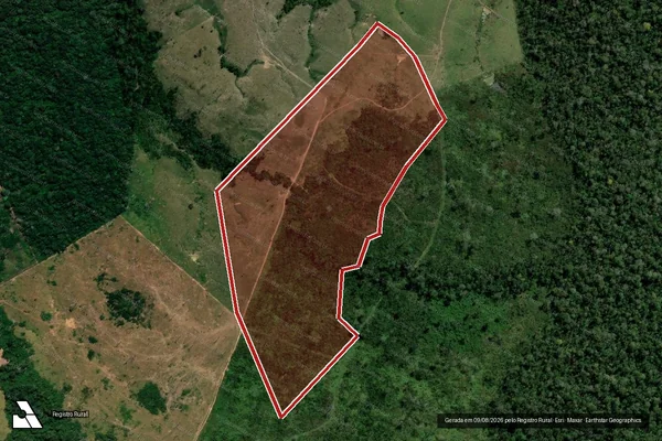 Imagem de satélite de Infração da Flora em Boca do Acre - AM