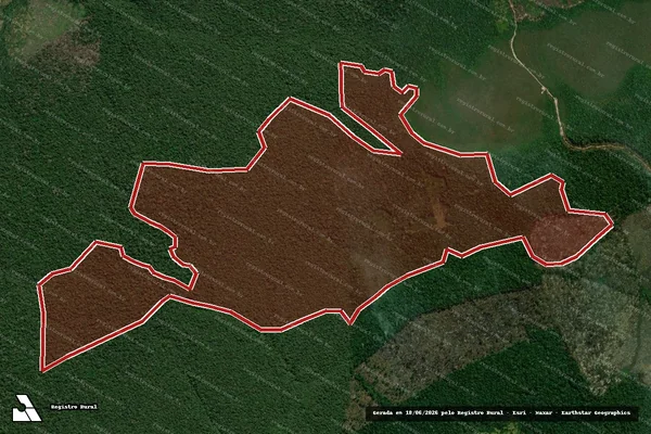 Imagem de satélite de Infração da Flora em Apuí - AM