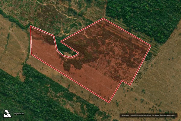 Imagem de satélite de Infração da Flora em Aripuanã - MT