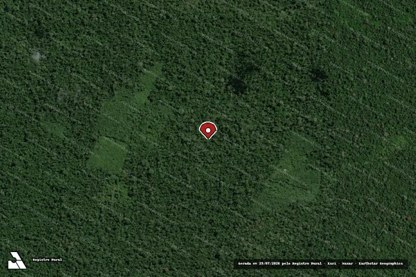 Imagem de satélite de Infração da Flora em Altamira - PA (marcador da localização)