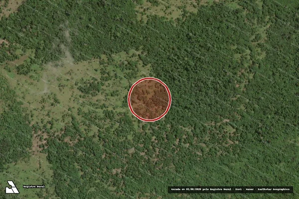 Imagem de satélite — Embargo IBAMA — Infração Ambiental - Carutapera/MA