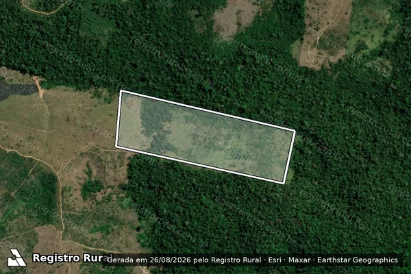 Imagem de satélite de Infração da Flora em Pacajá - PA