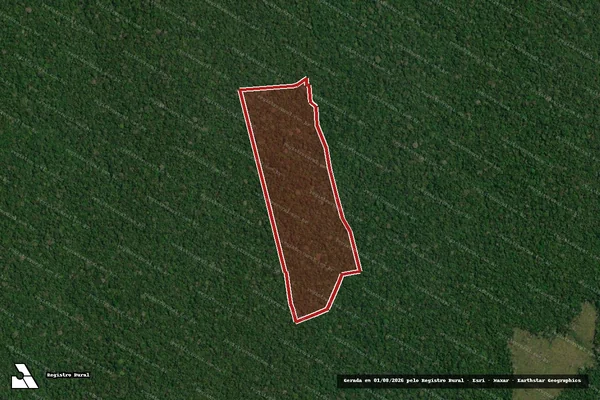 Imagem de satélite de Infração da Flora em Apuí - AM