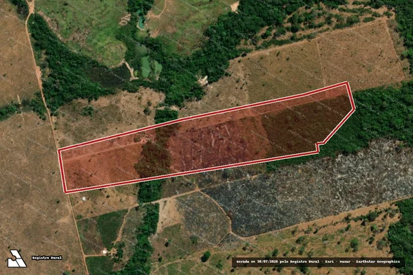 Imagem de satélite de Infração da Flora em Carlinda - MT