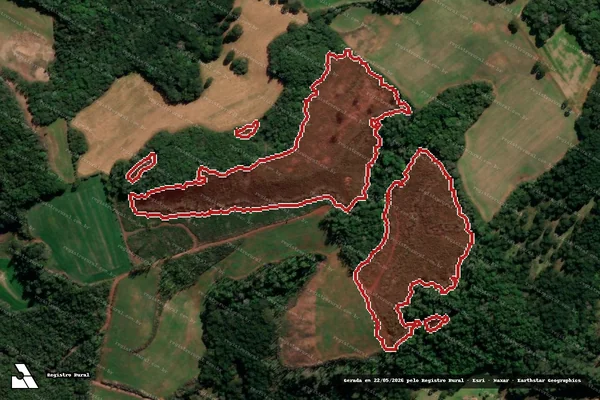 Imagem de satélite de Infração Ambiental em Lagoa Vermelha - RS