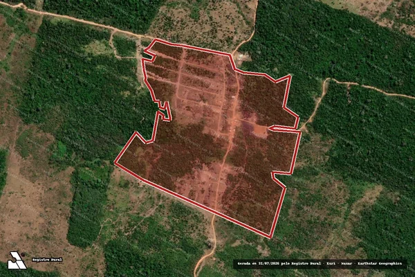 Imagem de satélite de Infração da Flora em São Félix do Xingu - PA