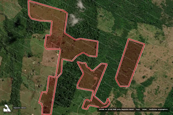 Imagem de satélite de Infração da Flora em São Félix do Xingu - PA