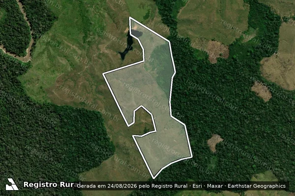 Imagem de satélite de Infração da Flora em Feijó - AC