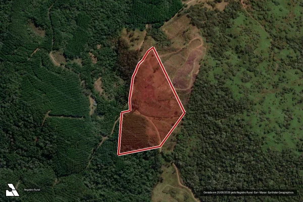 Imagem de satélite — Embargo IBAMA — Infração Ambiental - Coronel Domingos Soares/PR
