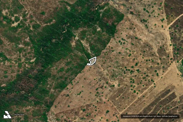 Imagem de satélite de Infração da Flora em Colinas do Sul - GO