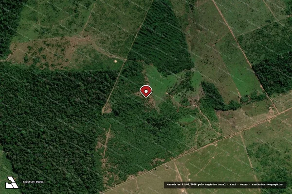 Imagem de satélite de Infração Ambiental em Apuí - AM (marcador da localização)