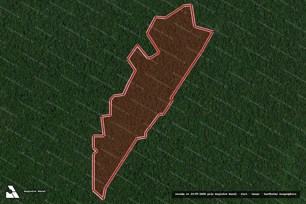 Imagem de satélite de Infração da Flora em Medicilândia - PA