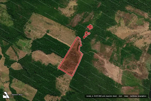 Imagem de satélite de Infração da Flora em Aripuanã - MT