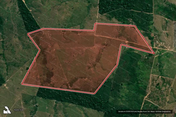 Imagem de satélite de Infração da Flora em Boca do Acre - AM