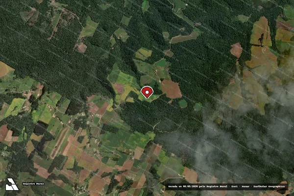Imagem de satélite de Infração Ambiental em Santa Terezinha - SC (marcador da localização)