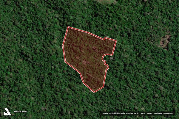 Imagem de satélite de Infração Ambiental em Anapu - PA