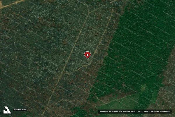 Imagem de satélite de Infração da Flora em Ribeirão Preto - SP (marcador da localização)