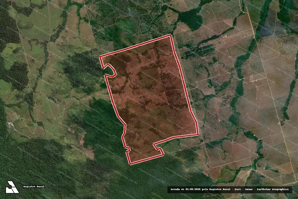 Imagem de satélite de Infração da Flora em Novo Progresso - PA