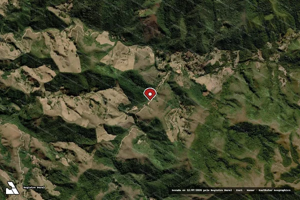Imagem de satélite de Infração Ambiental em Itamonte - MG (marcador da localização)