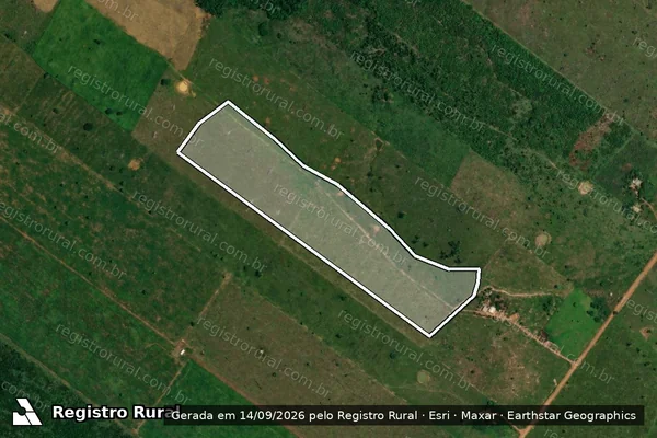 Imagem de satélite — Embargo IBAMA — Infração Ambiental - Porto Velho/RO