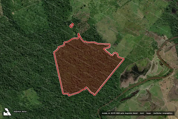Imagem de satélite de Infração da Flora em Placas - PA