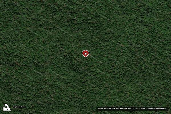 Imagem de satélite de Infração da Flora em Placas - PA (marcador da localização)
