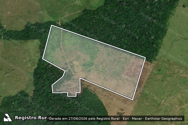 Imagem de satélite de Infração da Flora em Óbidos - PA