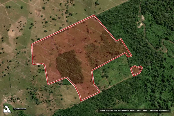 Imagem de satélite de Infração da Flora em Bernardo Sayão - TO