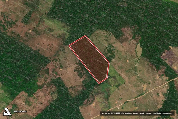 Imagem de satélite de Infração da Flora em Boca do Acre - AM