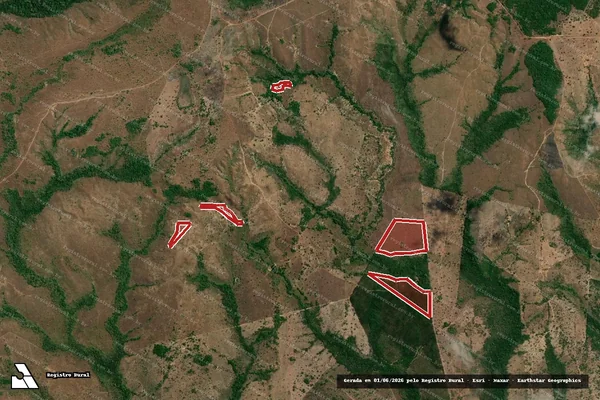 Imagem de satélite — Embargo IBAMA — Infração da Flora — Goianorte/TO