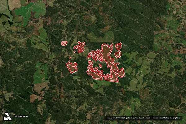 Imagem de satélite — Embargo IBAMA — Infração da Flora - Palmas/PR