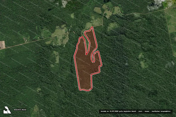 Imagem de satélite de Infração Ambiental em Mojuí dos Campos - PA