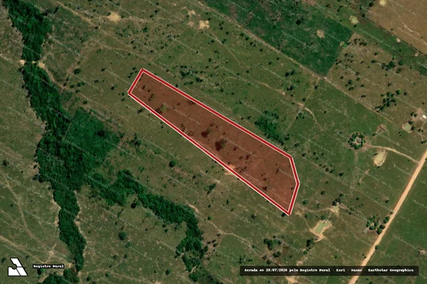 Imagem de satélite de Infração da Flora em Porto Velho - RO
