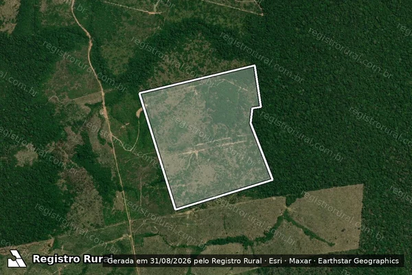 Imagem de satélite de Infração Ambiental em Apuí - AM
