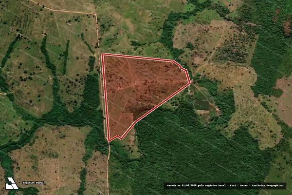 Imagem de satélite de Desmatamento em Araguaína - TO