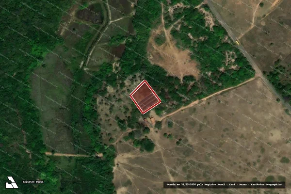 Imagem de satélite de Infração da Flora em Tibau do Sul - RN