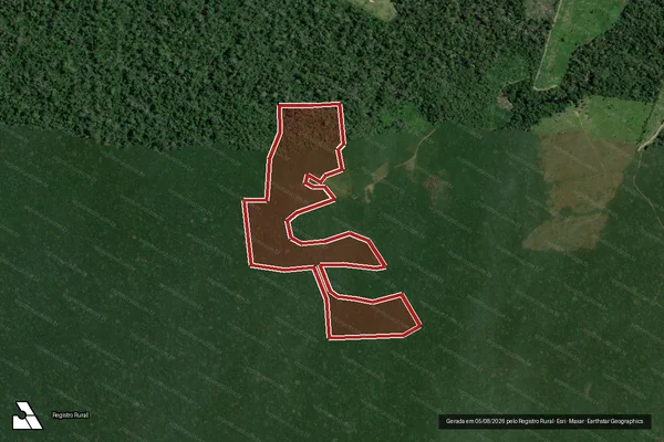 Imagem de satélite de Infração da Flora em Mojuí dos Campos - PA