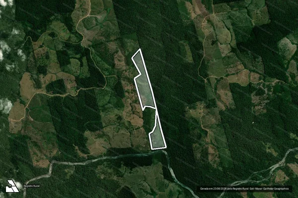 Imagem de satélite de Infração da Flora em Portel - PA
