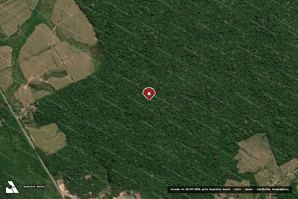 Imagem de satélite — Embargo IBAMA — Infração da Flora — Presidente Figueiredo/AM