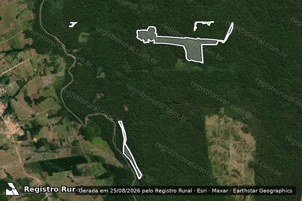 Imagem de satélite de Infração Ambiental em Colniza - MT
