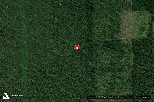 Imagem de satélite de Infração da Flora em Humaitá - AM (marcador da localização)