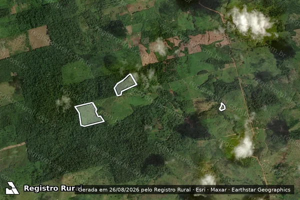 Imagem de satélite de Infração da Flora em Altamira - PA