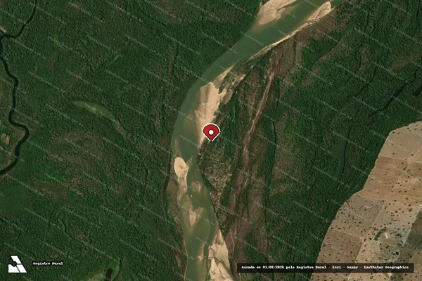 Imagem de satélite de Infração da Flora em Aruanã - GO (marcador da localização)