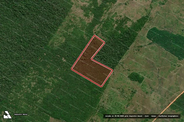 Imagem de satélite de Infração Ambiental em São Luiz - RR