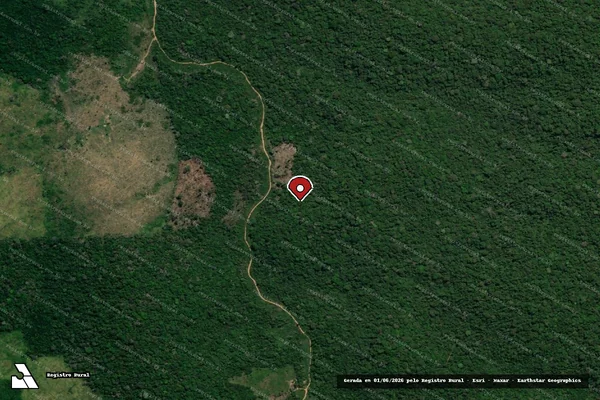Imagem de satélite de Infração Ambiental em Rurópolis - PA (marcador da localização)